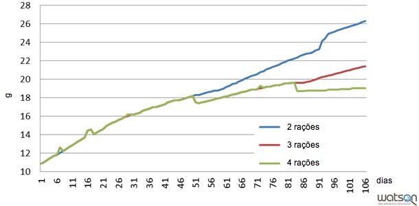 Consumo de lisina ileal padronizada ao longo da engorda segundo diferentes programas de alimentação (2 rações, 3 rações, 4 rações)