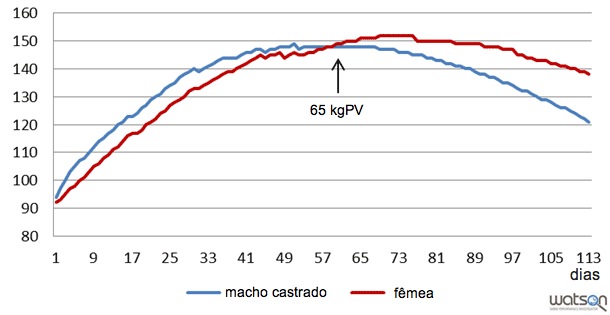 Deposição de proteína (g/dia) de machos castrados e fêmeas de linha genética B