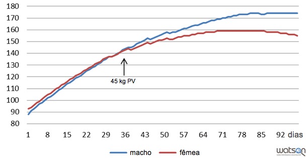 Deposição de proteína (g/dia) de machos inteiros e fêmeas da linha genética A