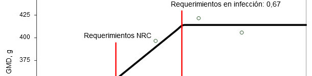 Necessidades de digestibilidade ileal estandardizada para aminoácidos sulfurados, determinada em leitões desmamados infetados oralmente com uma estirpe enterotoxigénica de E. coli.