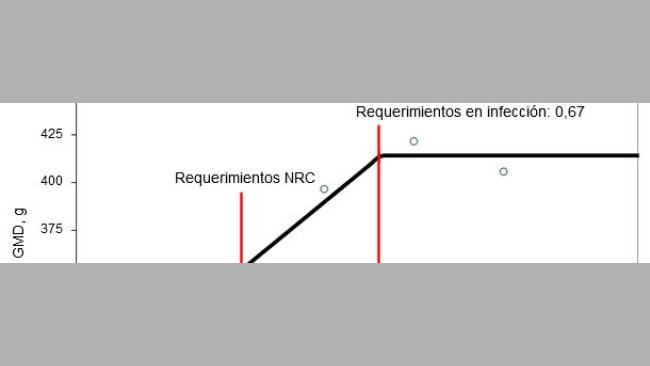 Necessidades de digestibilidade ileal estandardizada para aminoácidos sulfurados, determinada em leitões desmamados infetados oralmente com uma estirpe enterotoxigénica de E. coli.
