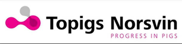 Logo Topigs Norsvin