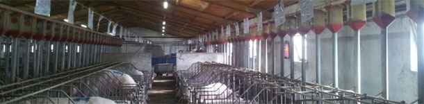 Días no productivos (2/2): 16.000 € escondidos en la gestación