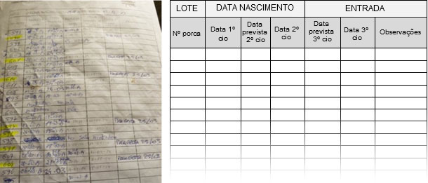 Formulario de control de celos de nulíparas