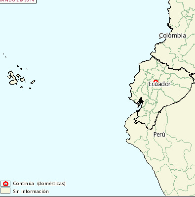 ecuador coronavirus