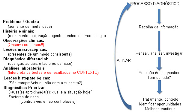 "Alineamiento" diagnóstico: Toda la información debe tener sentido.