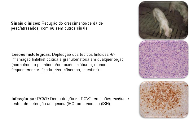 PMWS: definición clínica