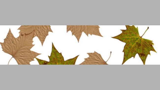 El otoño empieza con precios interesantes