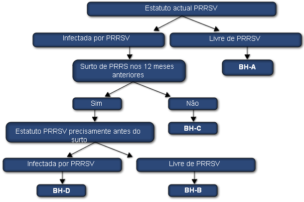 Sistema de clasificación del virus PRRS en granjas de cerdas