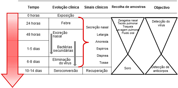 Toma de muestras dirigida a la detección y diagnóstico de la infección por el virus de la influenza A en cerdos