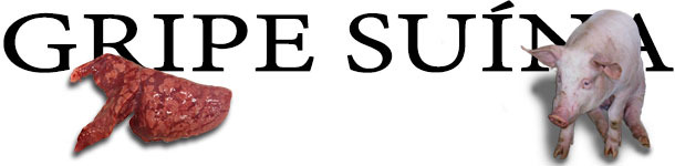 Gripe porcina