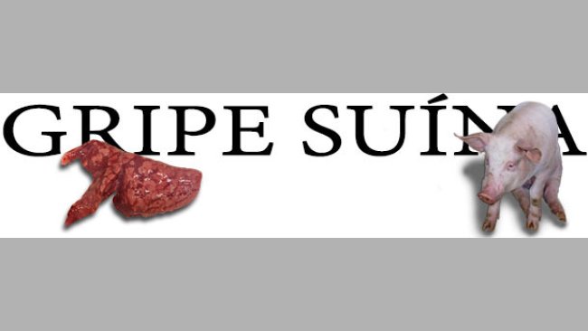 Gripe porcina