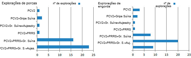 Co-seropositividad en cerdos