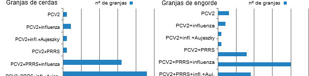Co-seropositividad en cerdos