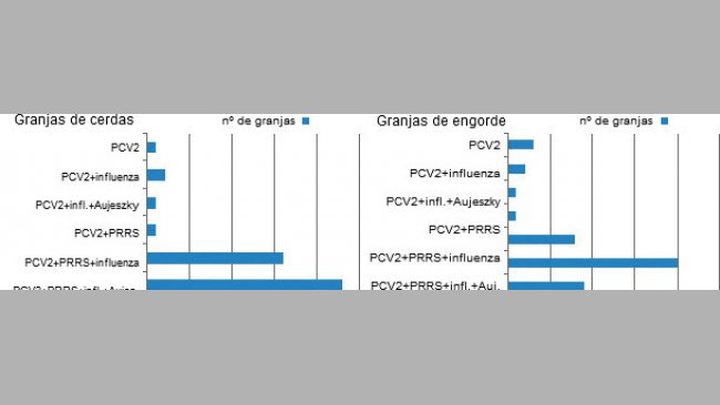 Co-seropositividad en cerdos