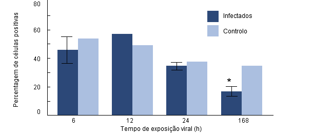 Porcentaje de fagocitosis de H parasuis por macrófagos alveolares porcinos recogidos de cerdos previamente infectados por PRRSv