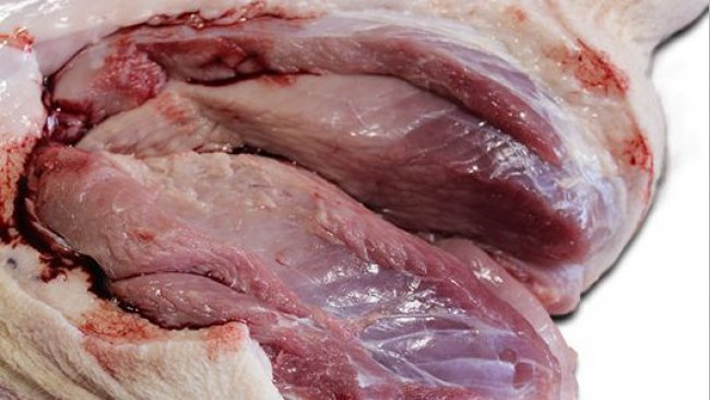 Palidez pronunciada del M. semimembranosus