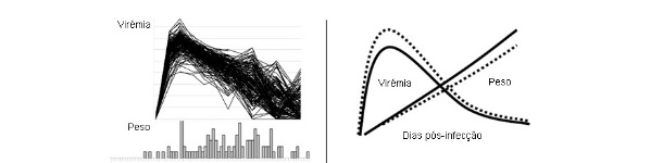 Viremia de PRRSV (figura superior) y distribución de la GMD (inferior) en 200 cerdos infectados experimentalmente con PRRSV.