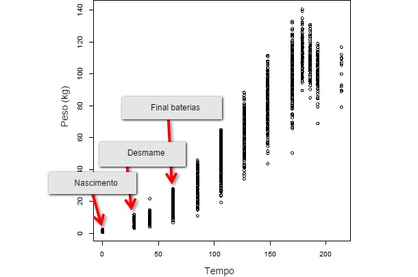 Evolución del peso vivo a lo largo del tiempo de una población entera de destete constituida por 347 animales