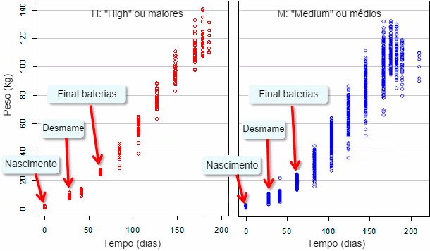 Evolución del peso vivo