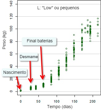 Evolución del peso vivo 