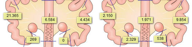 Presencia de espermatozoides en el aparato genital de la cerda, tras haber realizado 2 inseminaciones
