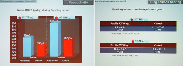 Datos de pruebas de campo reforzando los buenos resultados de la vacunación con Porcilis PCV M hyo