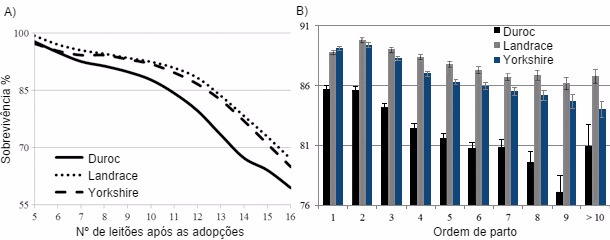 Effect of number after transfer (A) and parity (B) on survival percentage by breed of sow