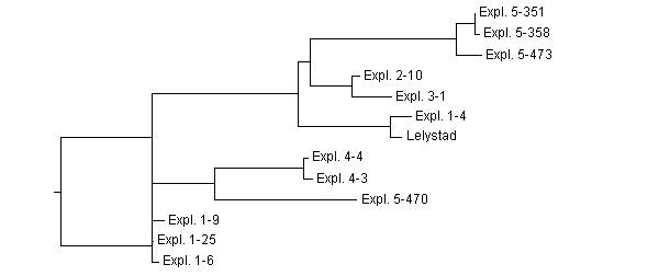 Dendrograma