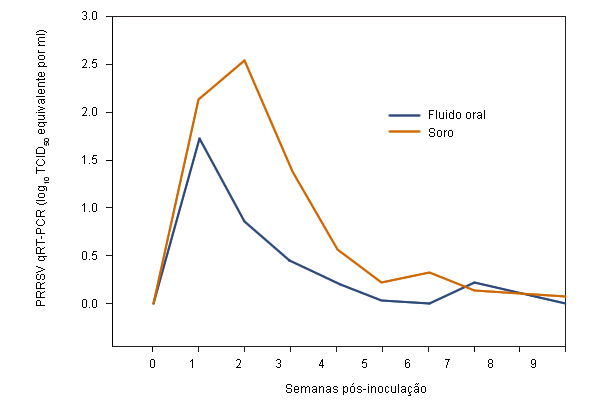 Serum and oral fluid PRRSV qRT-PCR results by week postinoculation