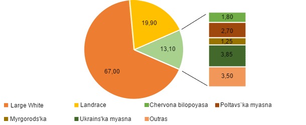 distribucion de cerdas segun raza en ucrania