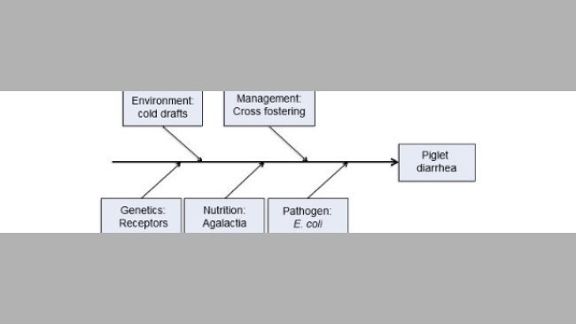 Modelo de cinco factores productivos como causantes de enfermedad.