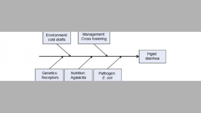 Modelo de cinco factores productivos como causantes de enfermedad.