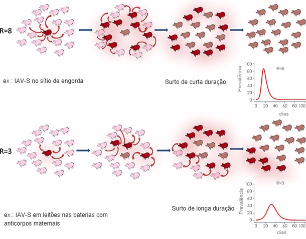 Tasa de reproducción en un contexto epidémico o endémico