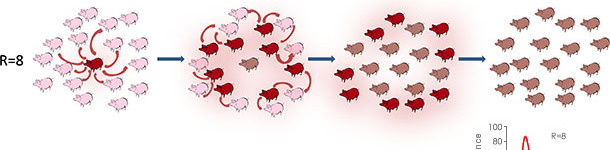 Tasa de reproducción en un contexto epidémico o endémico