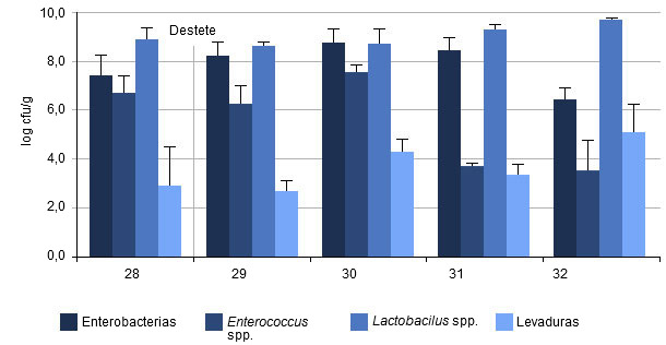 Cantidad promedio de bacterias contenidas en el colon de lechones en diferentes tiempos después del destete 