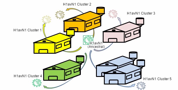 Heterogenicidad genética y antigénica relacionada con la granja