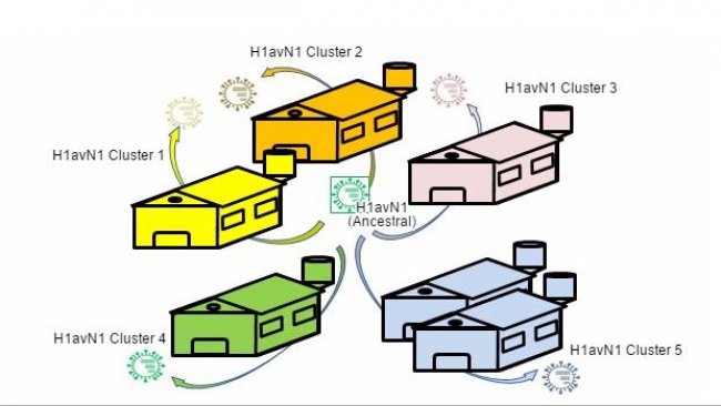 Heterogenicidad genética y antigénica relacionada con la granja