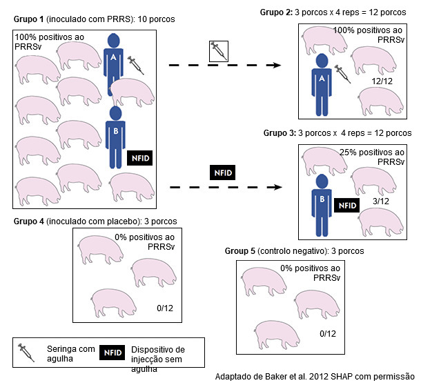 Diseño experimental para evaluar la capacidad de un dispositivo de inyección sin aguja (NFID) para prevenir la transmisión hematógena del virus del síndrome reproductivo y porcino (PRRSv)