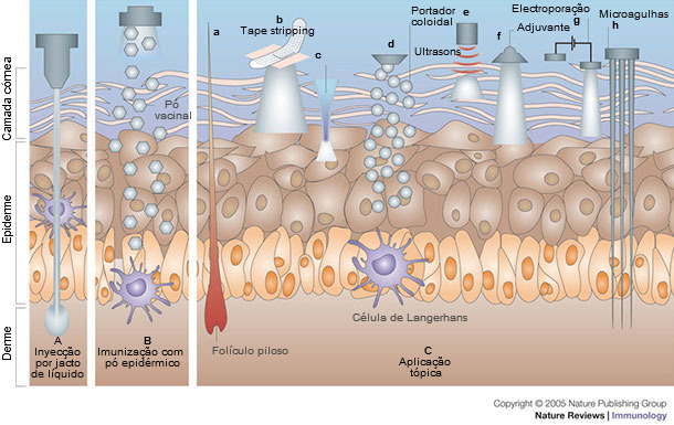 Inmunización por vía cutánea
