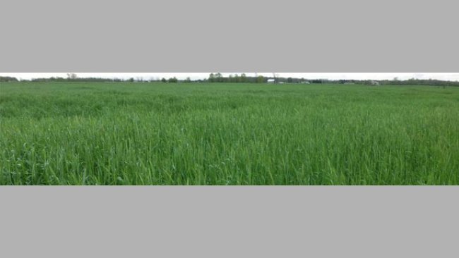 Meses clave para las cosechas