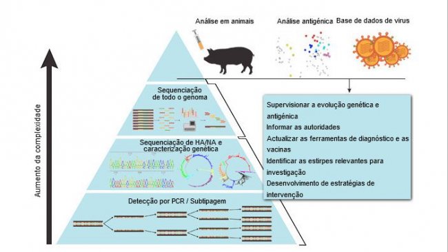 Método sistemático de vigilancia del virus de la influenza A en porcino