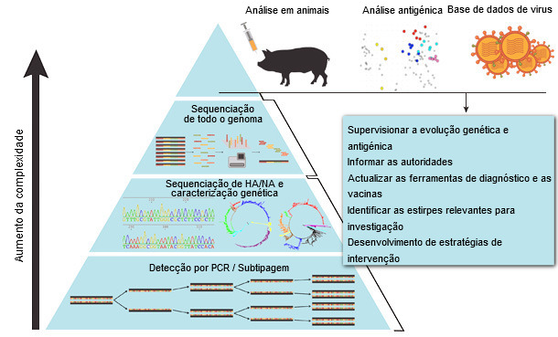 Método sistemático de vigilancia del virus de la influenza A en porcino