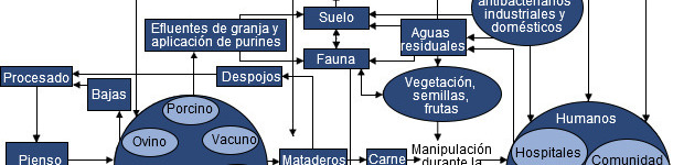 Resistencia antimicrobiana