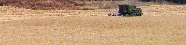 Buena cosecha de cereales