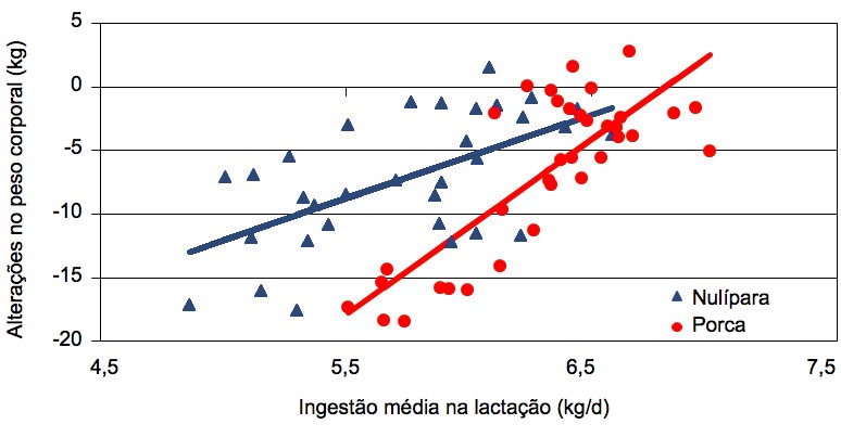 Alterações do peso corporal das porcas adultas e primíparas de acordo com a ingestão média durante a lactação