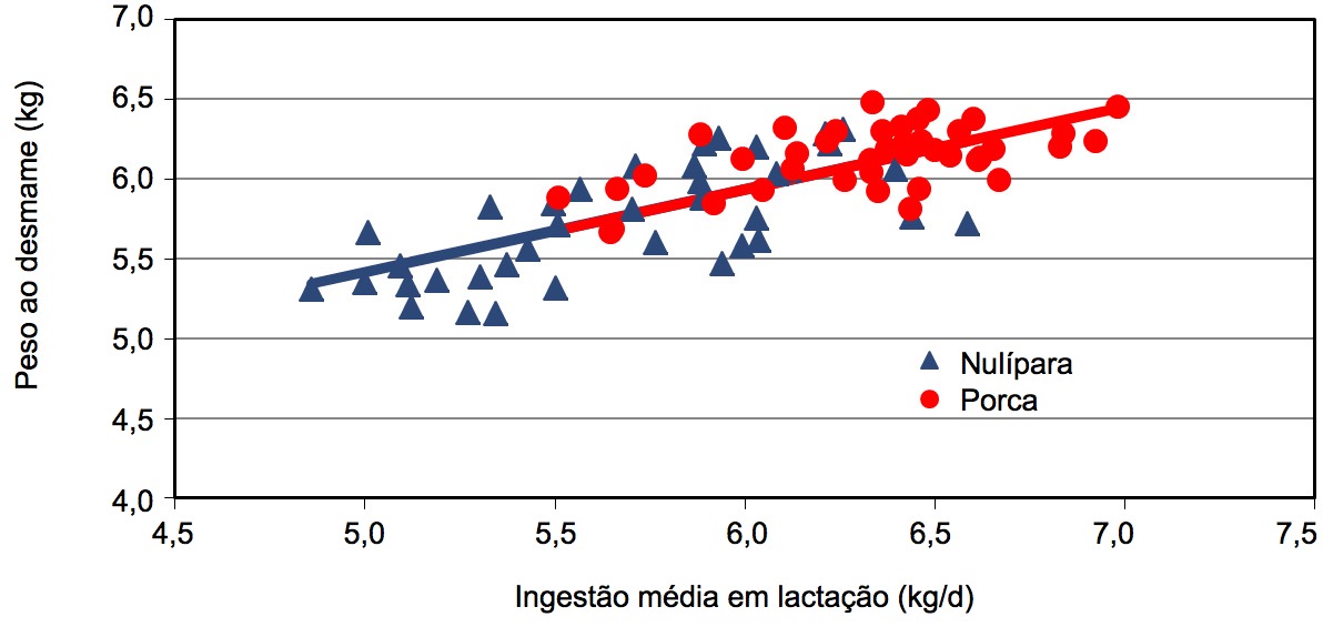 Peso da ninhada ao desmame segundo o consumo médio da porca em lactação