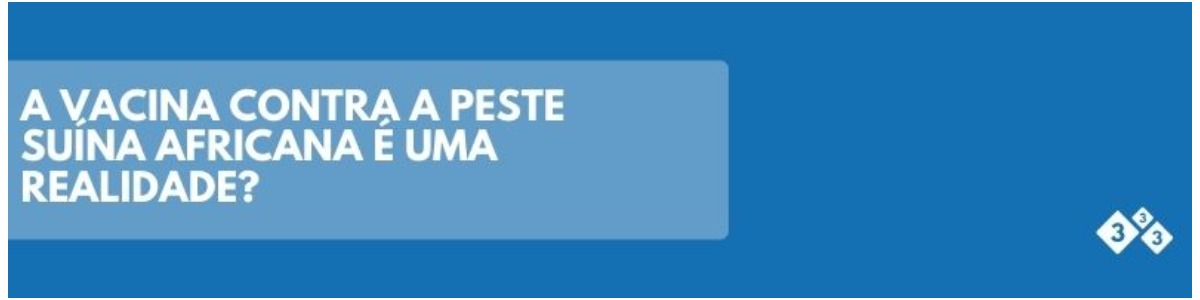 A vacina contra a Peste Suína Africana é uma realidade?