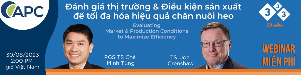 Đánh giá thị trường & Điều kiện sản xuất để tối đa hóa hiệu quả chăn nuôi heo