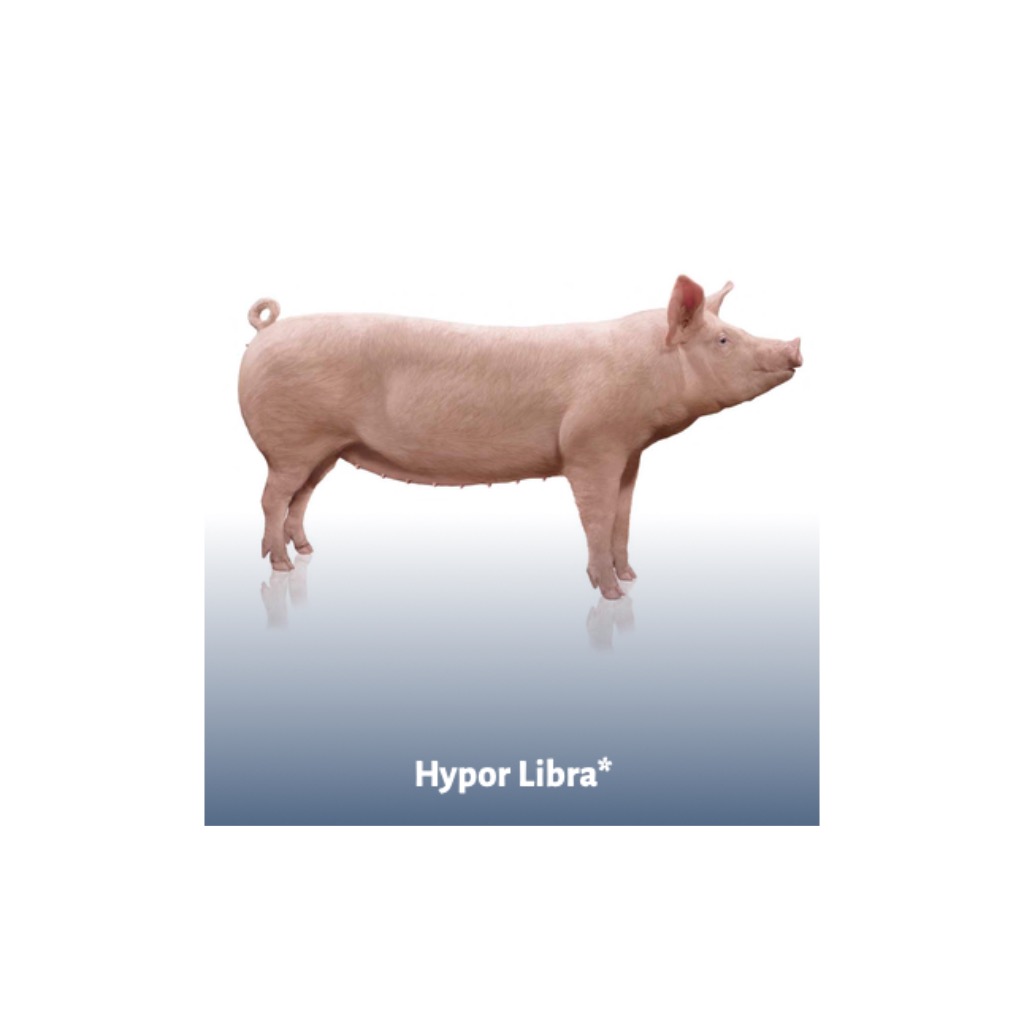 Hypor Libra - Nuestra F1 comercial: fuerte y sostenible